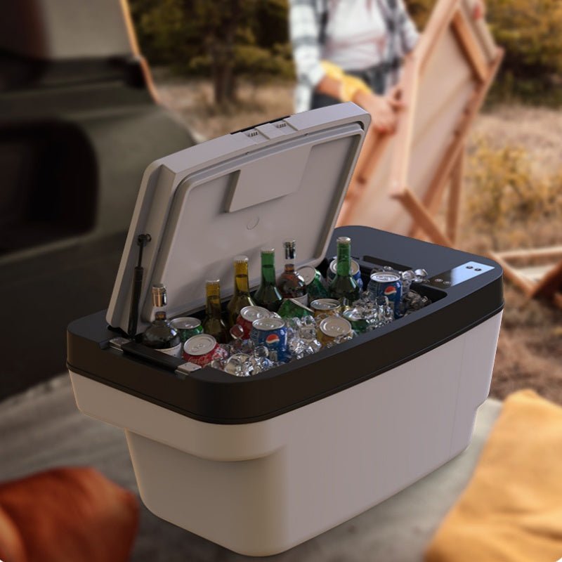Car Refrigerator in Trunk for Tesla Model 3