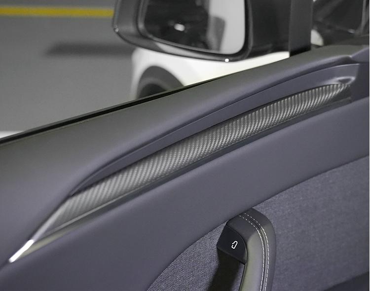 Door Trim Dry Carbon Fiber Overlay for Model S