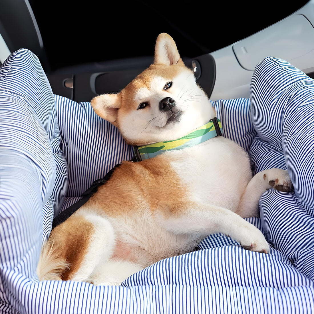 APTESL Dog Car Seat Bed