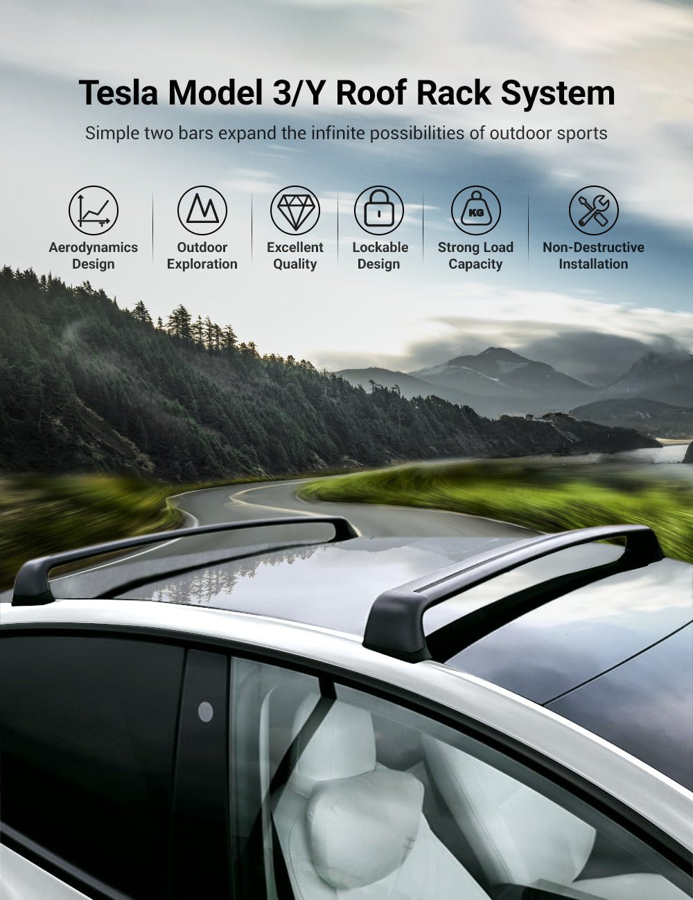 Tesla Rear Window Rack APTESL Multi-Purpose Roof Rack Accessories for Tesla Model 3 / Model Y ...