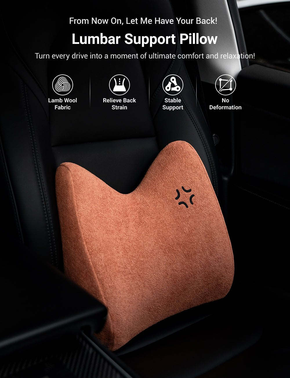 TITA Lumbar Support Pillow for All Car